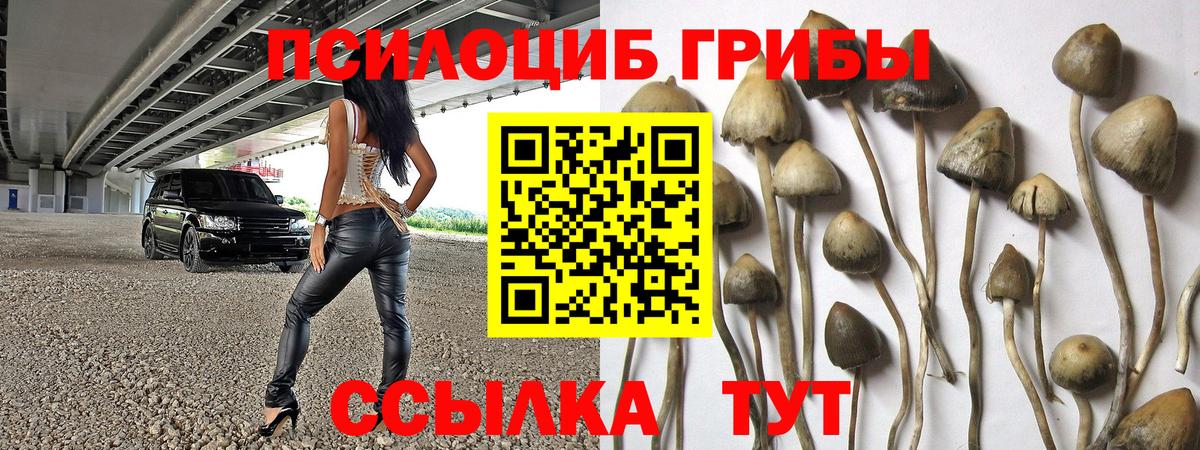 наркотики  Псилоцибиновые грибы мухоморы  Дмитров  Вход с VPN  Псилоцибиновые грибы прущие грибы 