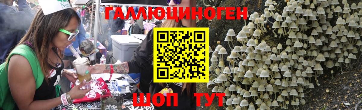 Галлюциногенные грибы прущие грибы Дмитров